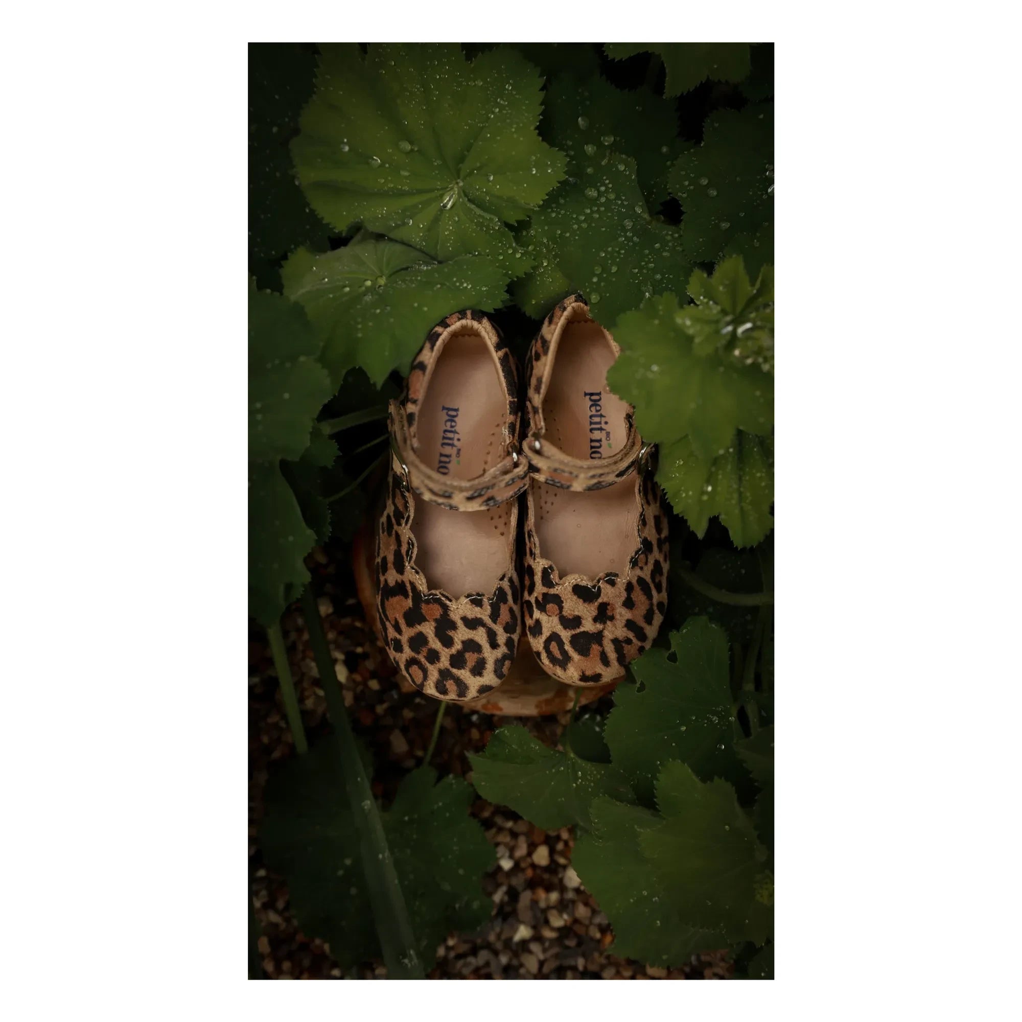 Petit Nord - Merceditas con forma de concha y estampado de leopardo | Marrón