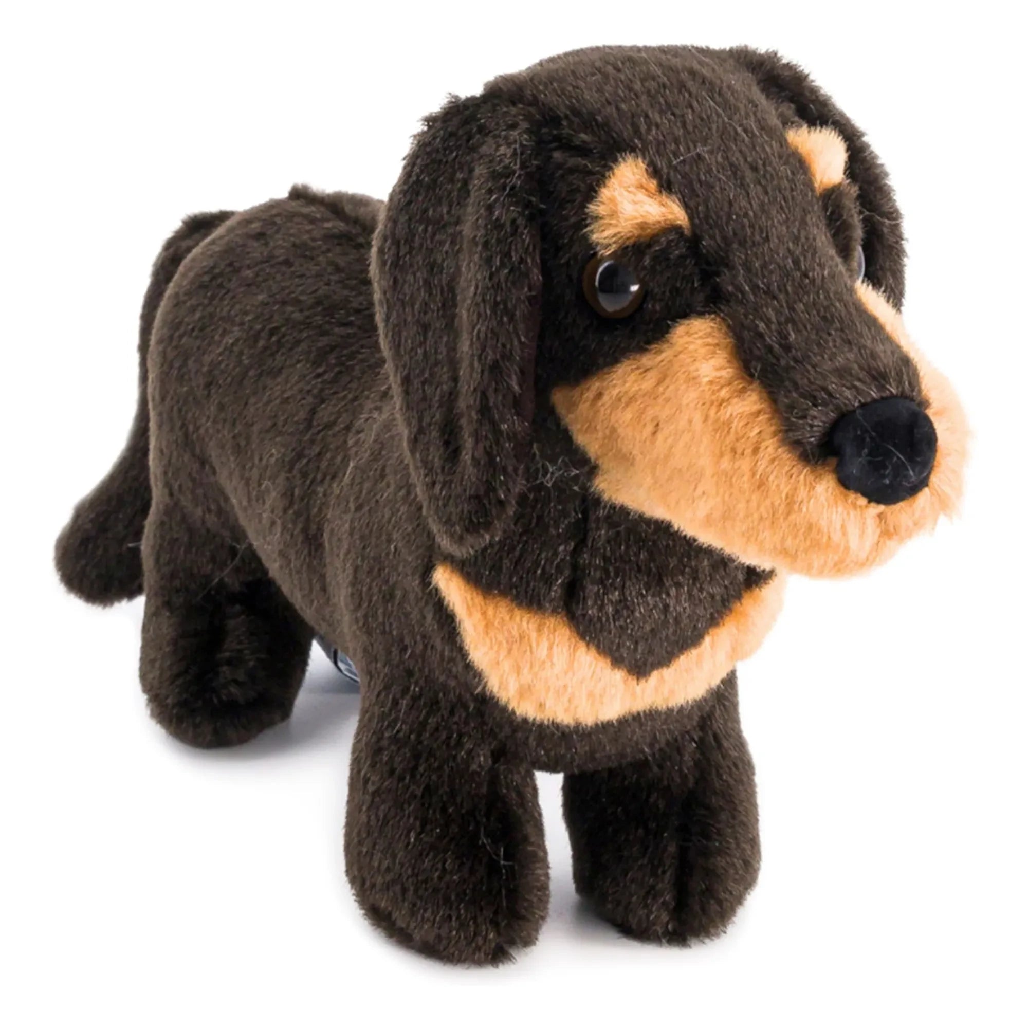 La Pelucherie - Peluche Eugène Dachshund 25 cm | Negro