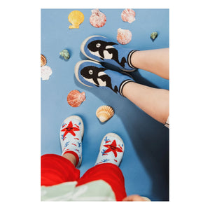Collégien - Zapatillas Orca | Azul Celeste