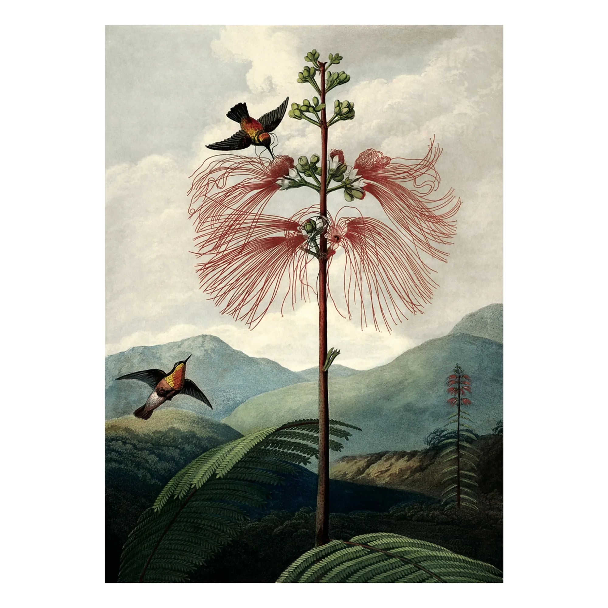 The Dybdahl Co. - Póster del árbol de las flores