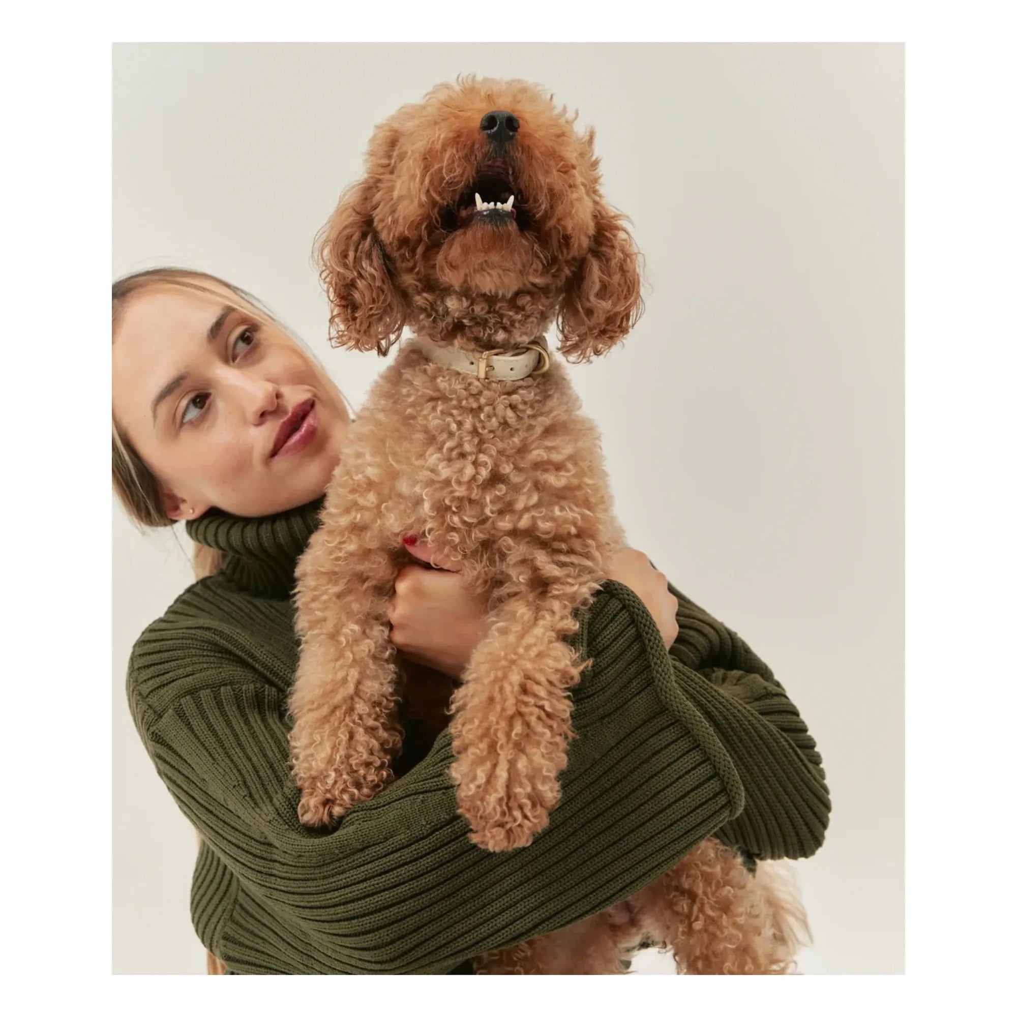 Cafide - Collar de perro de cuero vegano | Beige