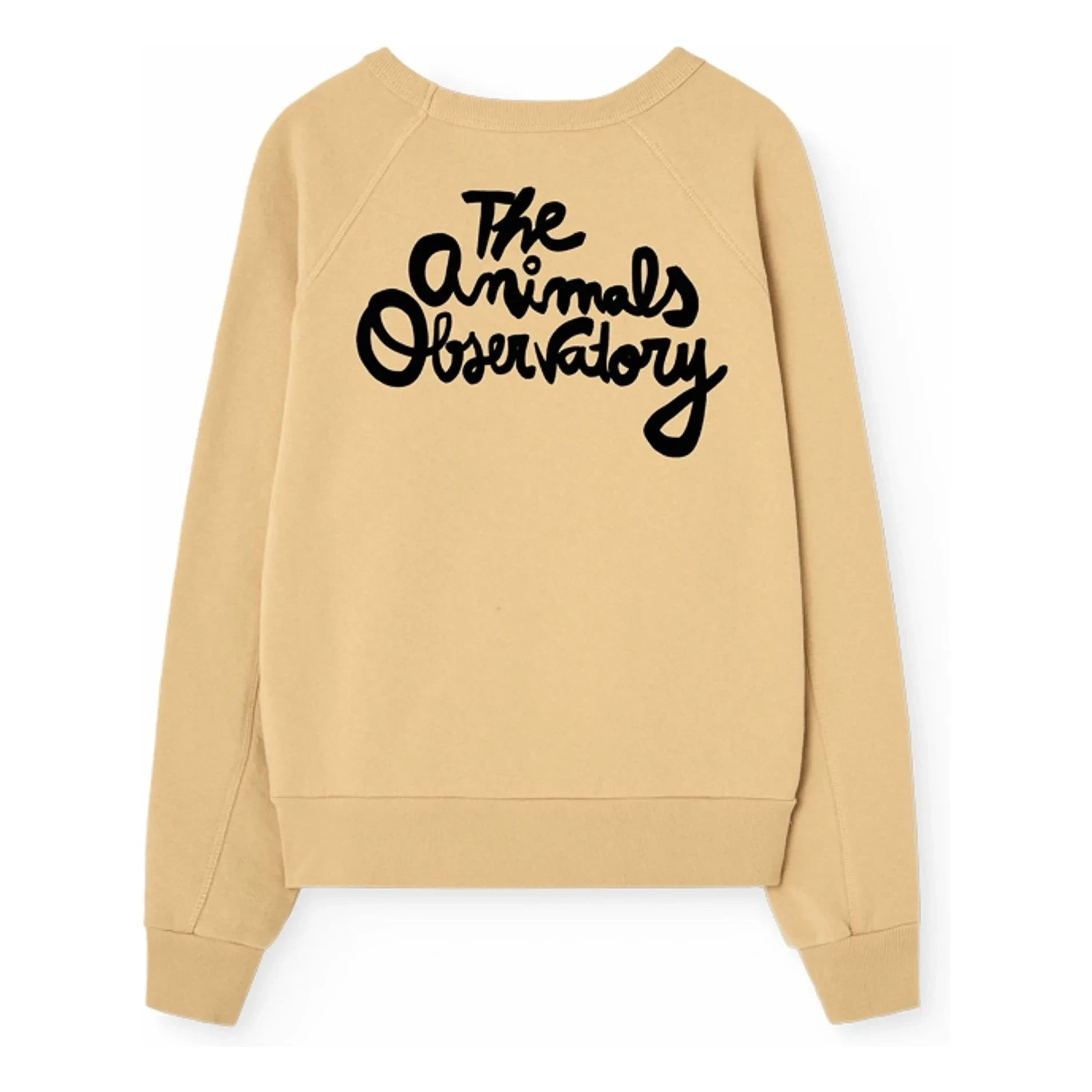 The Animals Observatory - Sudadera Shark | Beige