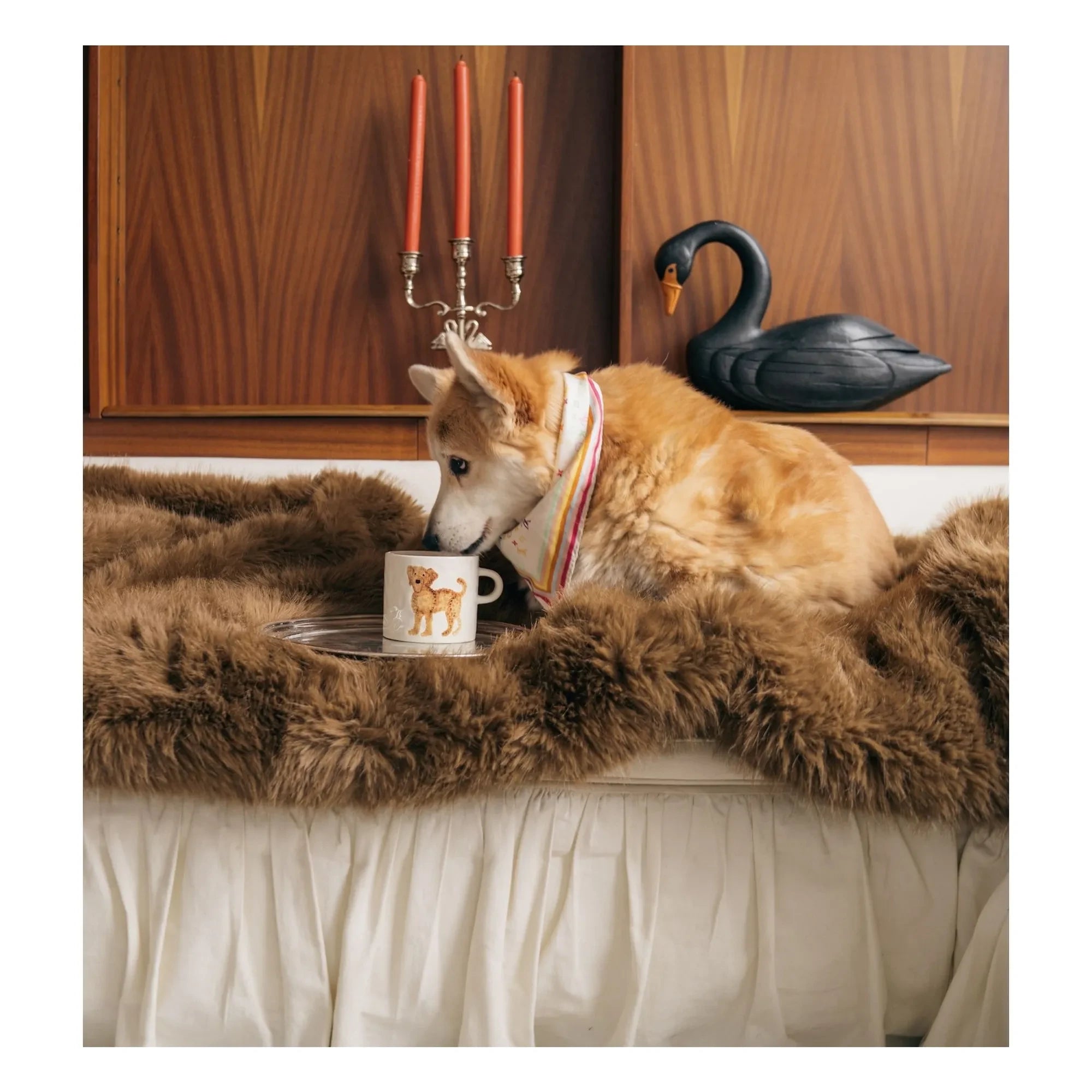 Anna + Nina - Taza Labradoodle