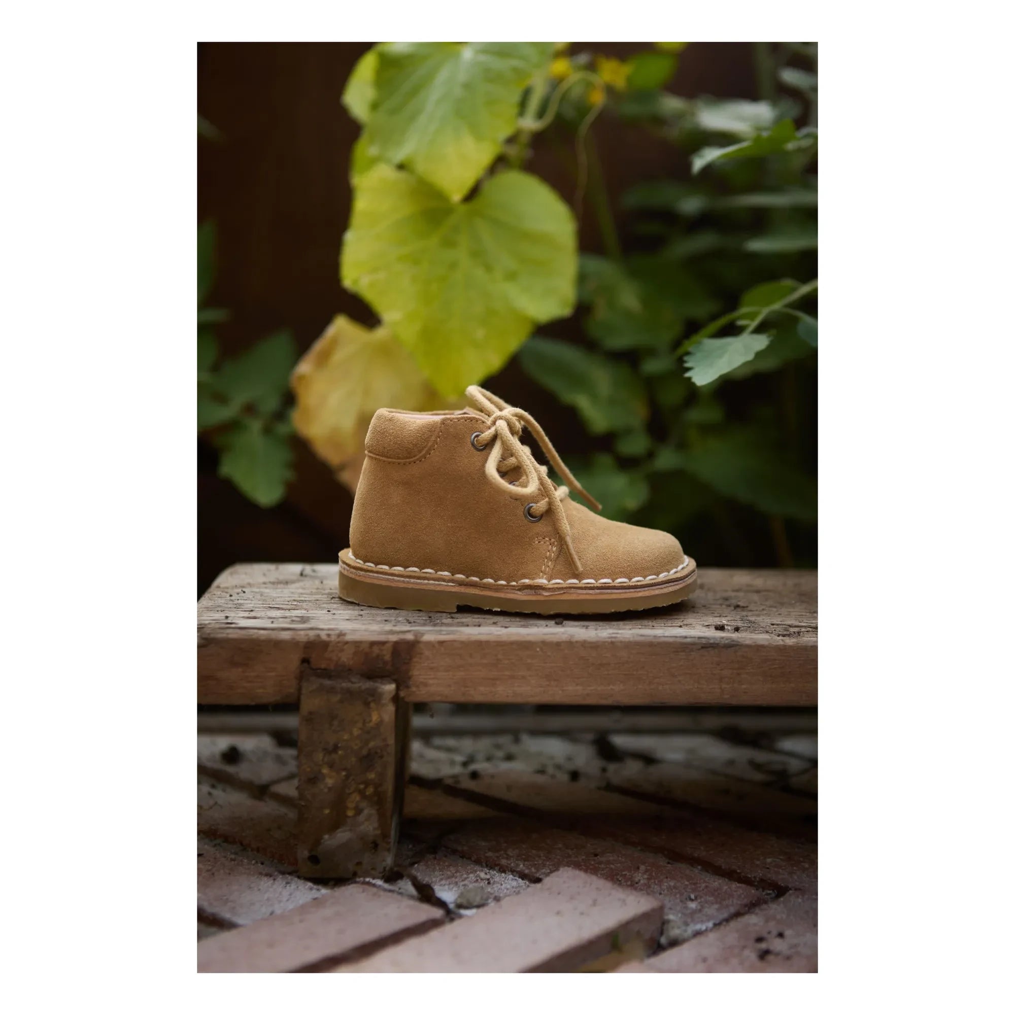 Petit Nord - Botines clásicos con cordones | Beige