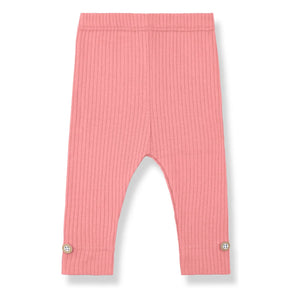1+ en la familia - Sina Fitilli Mallas | Blush