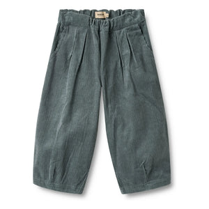 Wheat - Pantalones de terciopelo de algodón orgánico Juno | Gris azulado
