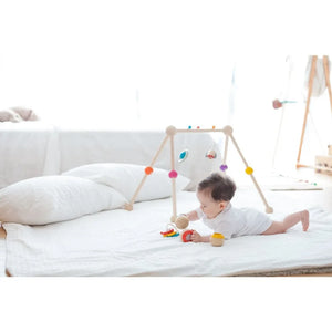 Plan Toys - Arco de actividades