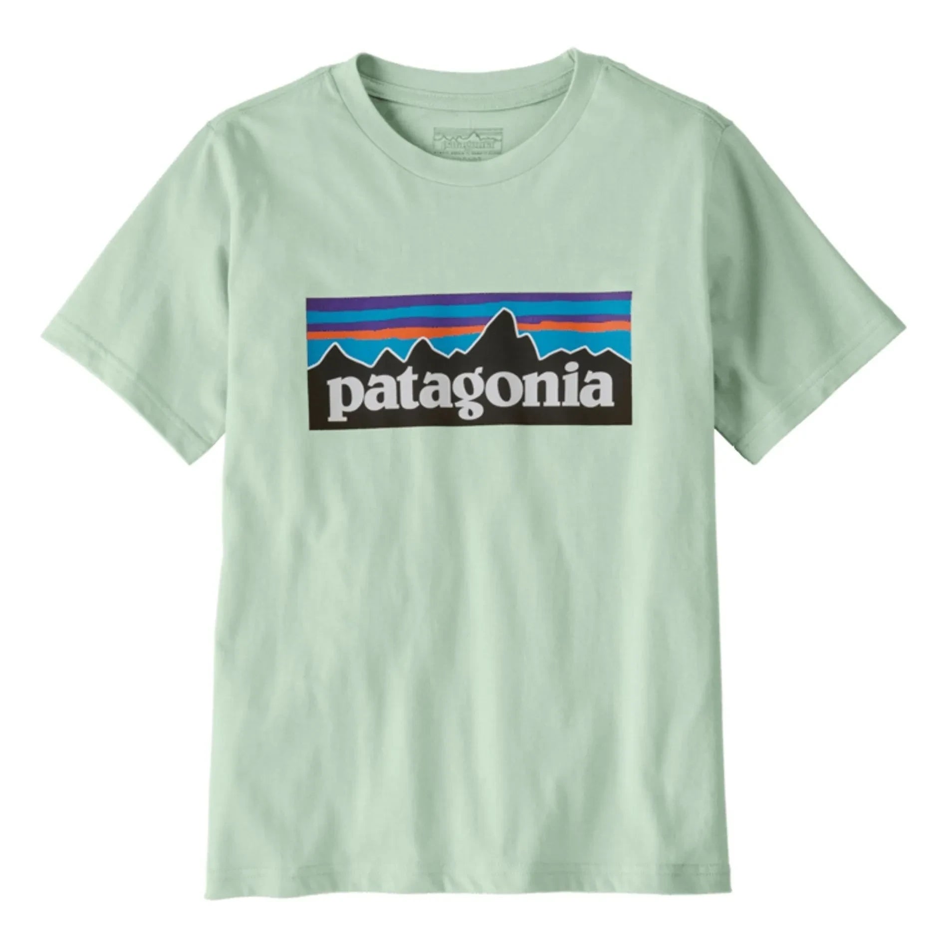 Patagonia - Camiseta con logo de algodón orgánico | Azul claro
