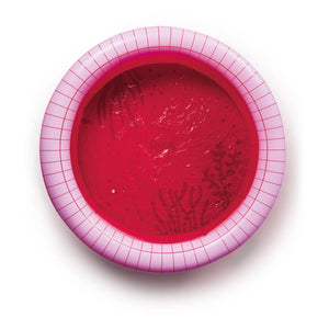 Quut - Piscina Hinchable Cherry