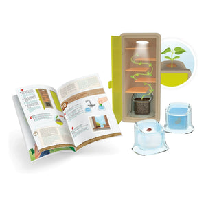 Buki - Set Pequeños Brotes