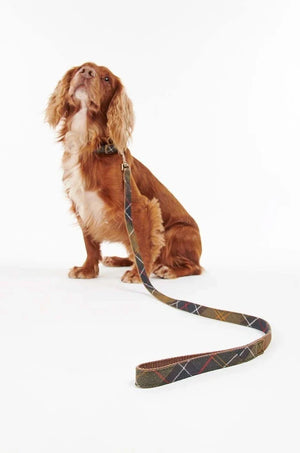 Correa para perro Barbour