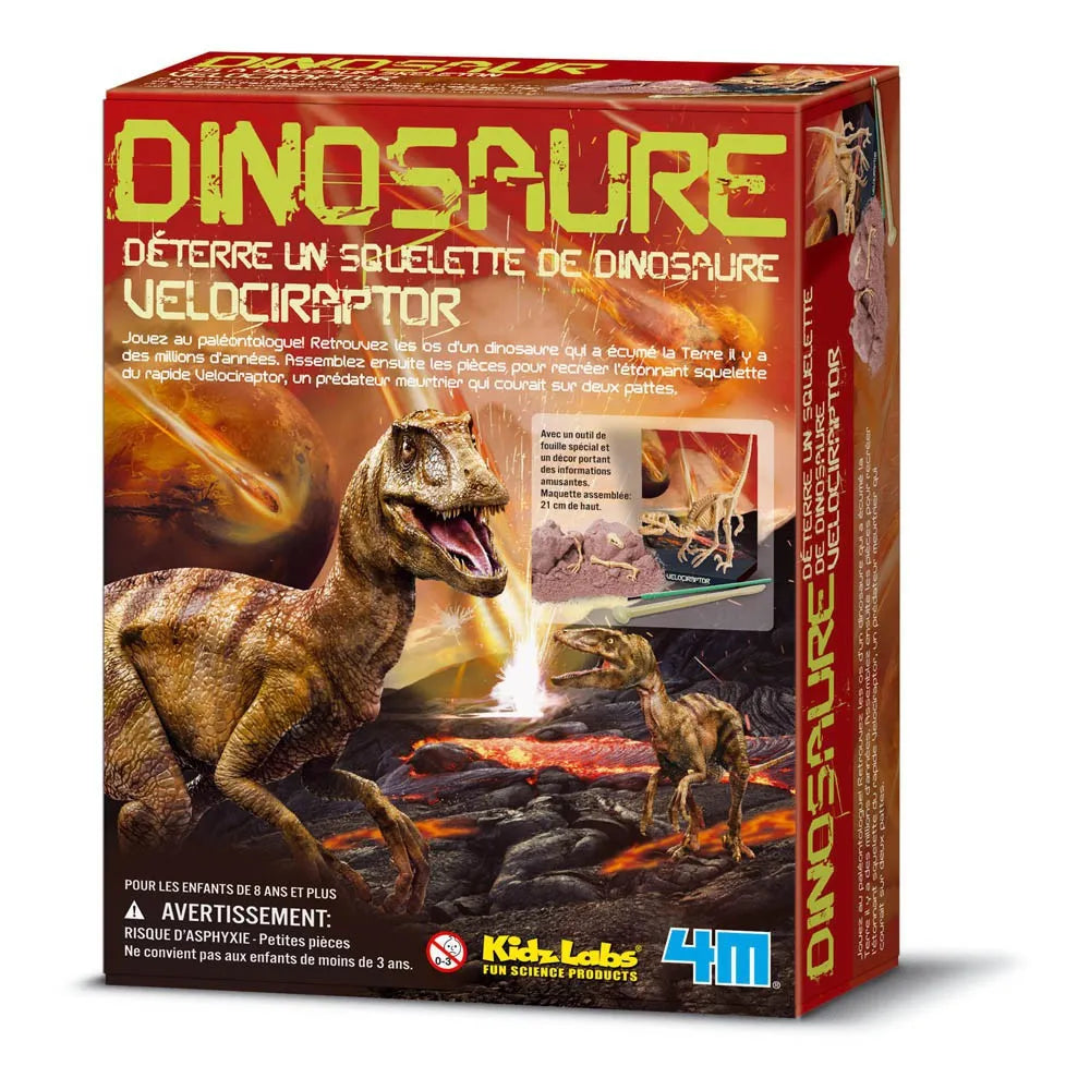 4M - Kit para Excavación de Velociraptor