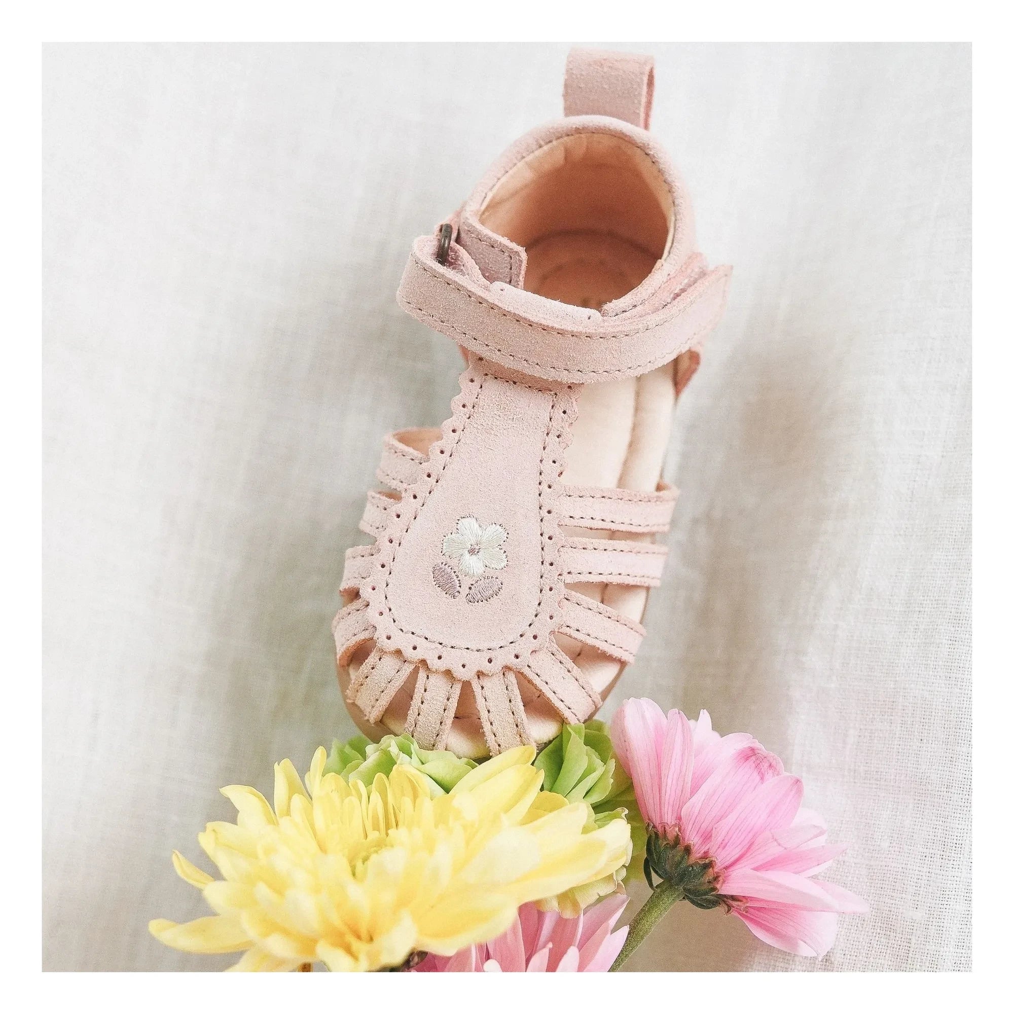 Lazare - Sandalias bordadas de ante Colette Fleur | Rosa empolvado