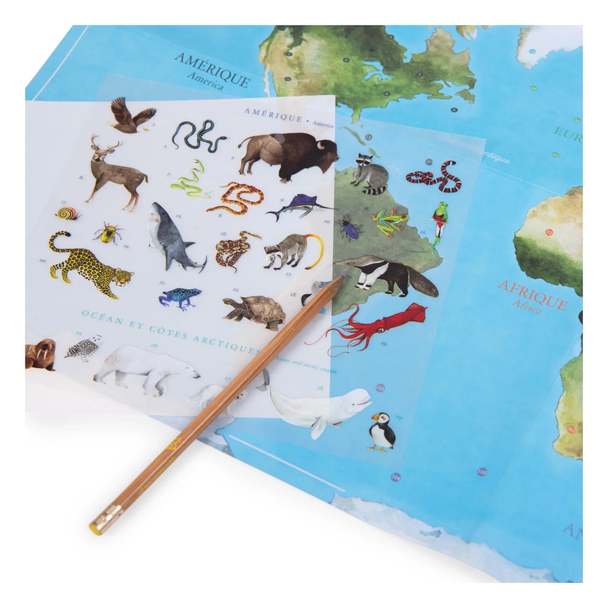 Moulin Roty - Mapa del mundo con pegatinas