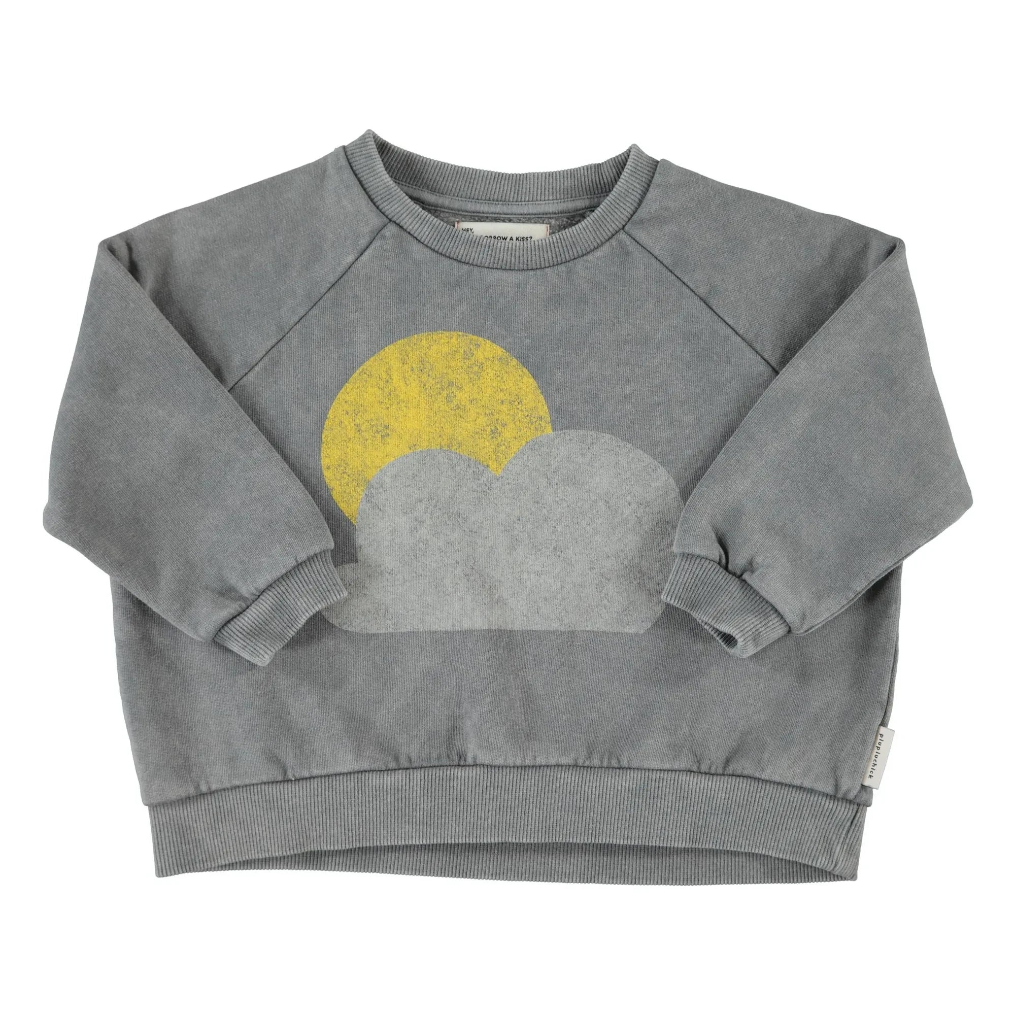Piupiuchick - Sudadera de Algodón Orgánico No Bad Weather | Gris