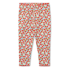 Flöss - Mallas de fresas con diseño floral | Rojo
