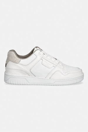 Zapatillas bajas de piel Regan Plus AllSaints
