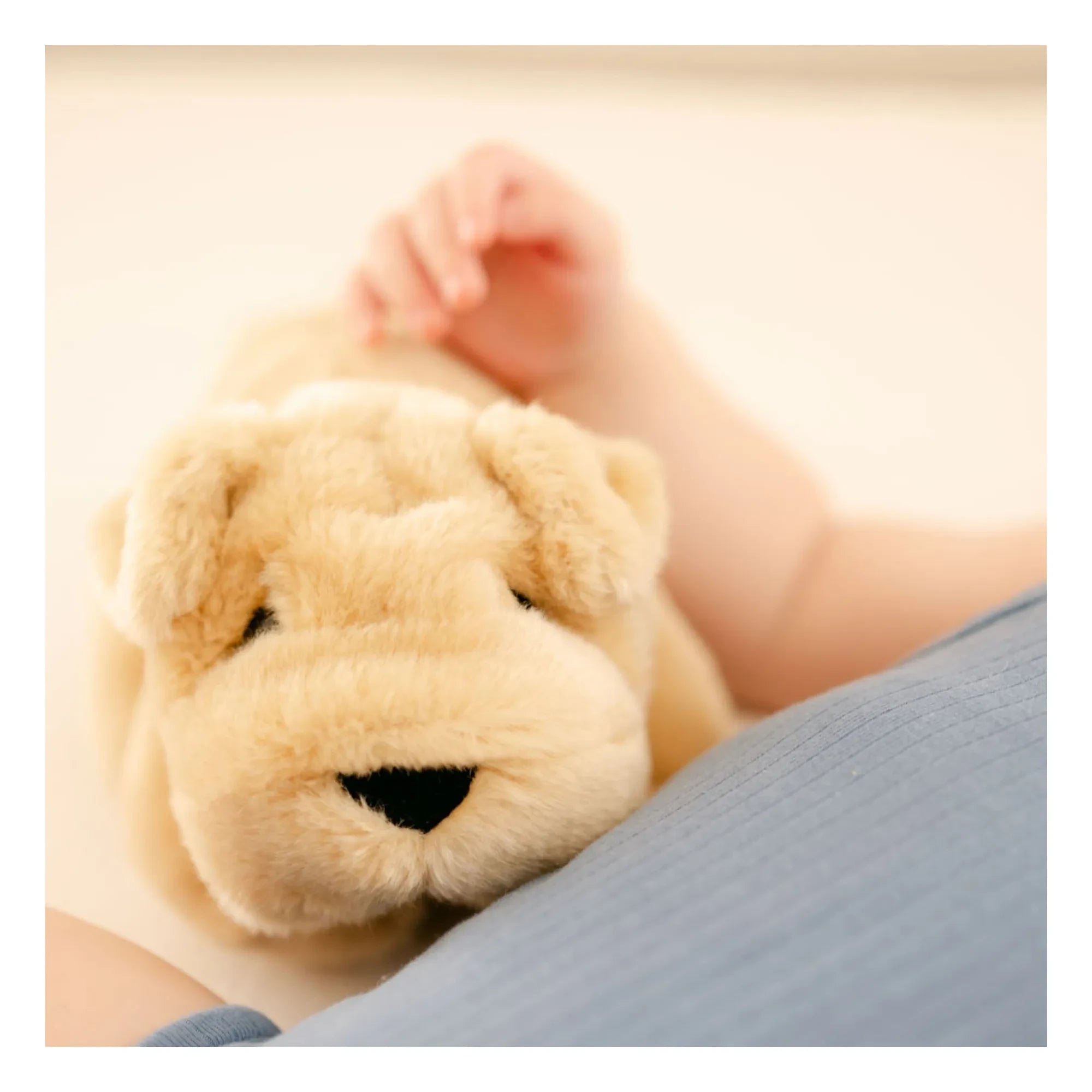 La Pelucherie - Perro de peluche Hector 20 cm | Bal