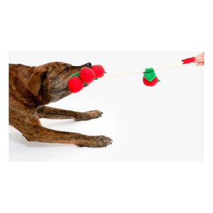 The Furry Folks - Juguete rascador Tomate Cereza | Rojo Tomate