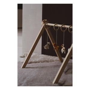 Quax - Juego de juguetes para correa de perro
