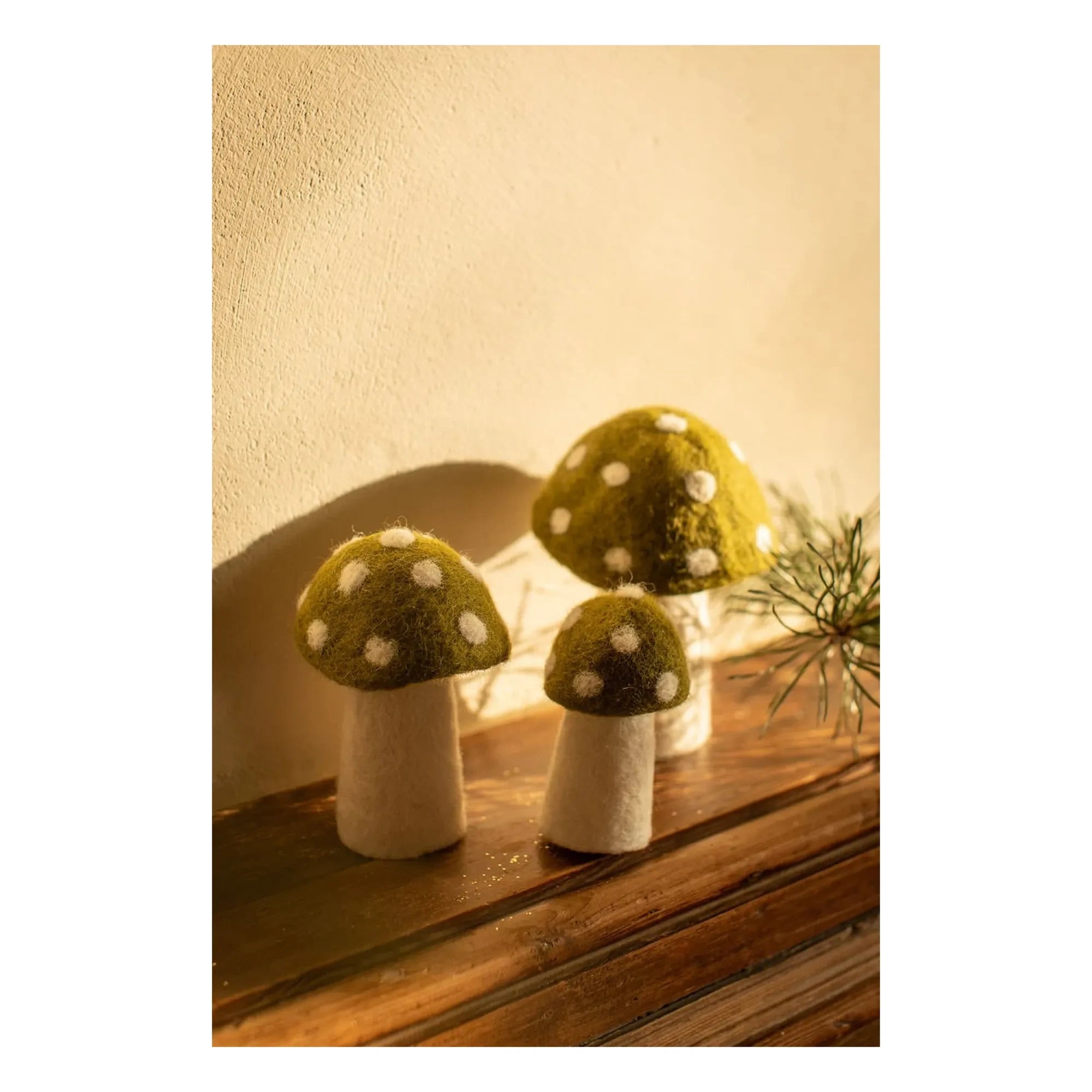 Muskhane - Set de 3 champiñones de fieltro Dotty | Verde
