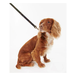 Barbour - Collar para perro de tartán | Marrón oscuro