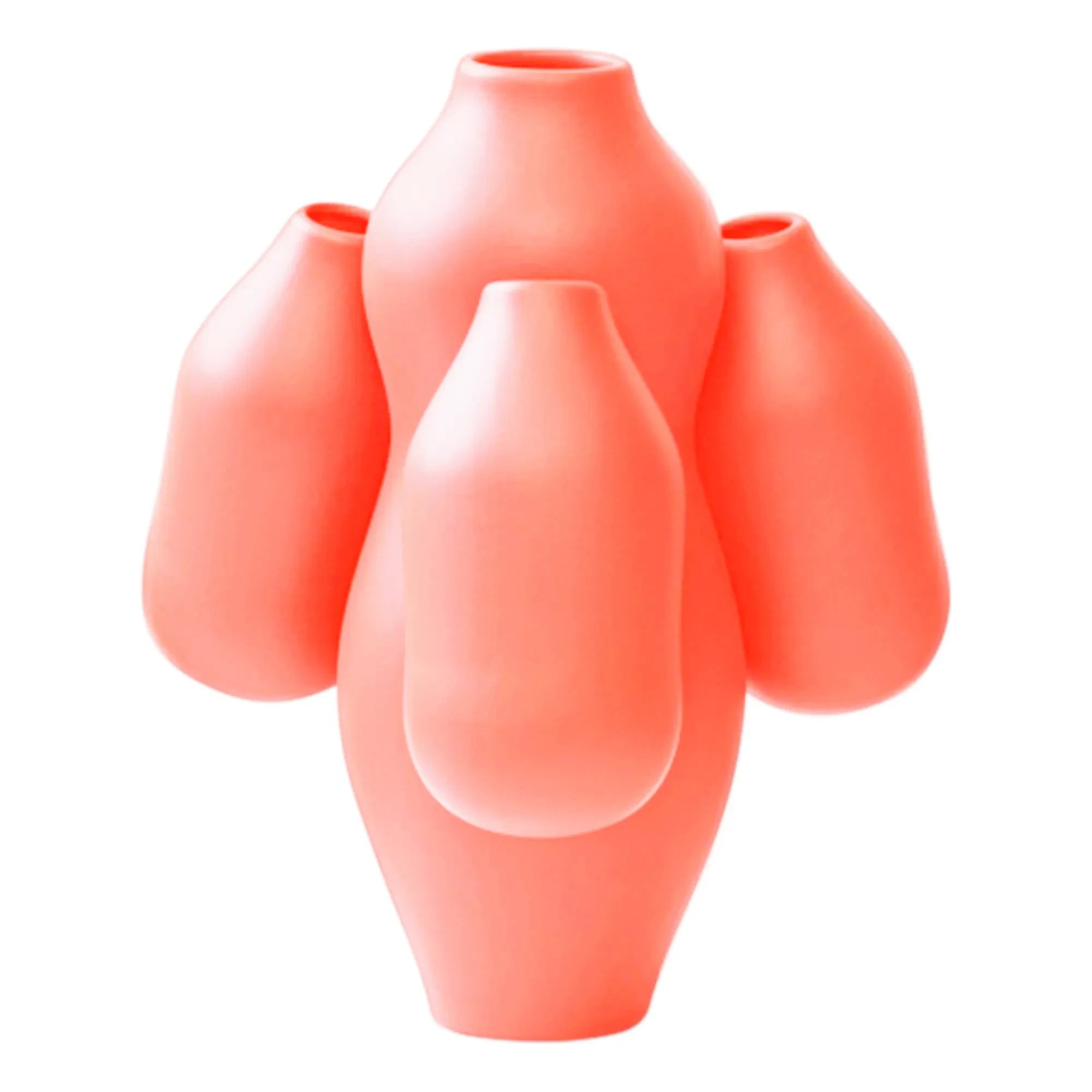 Moustache - Allpa Vaso - Jean-Baptiste Fastrez | Coral