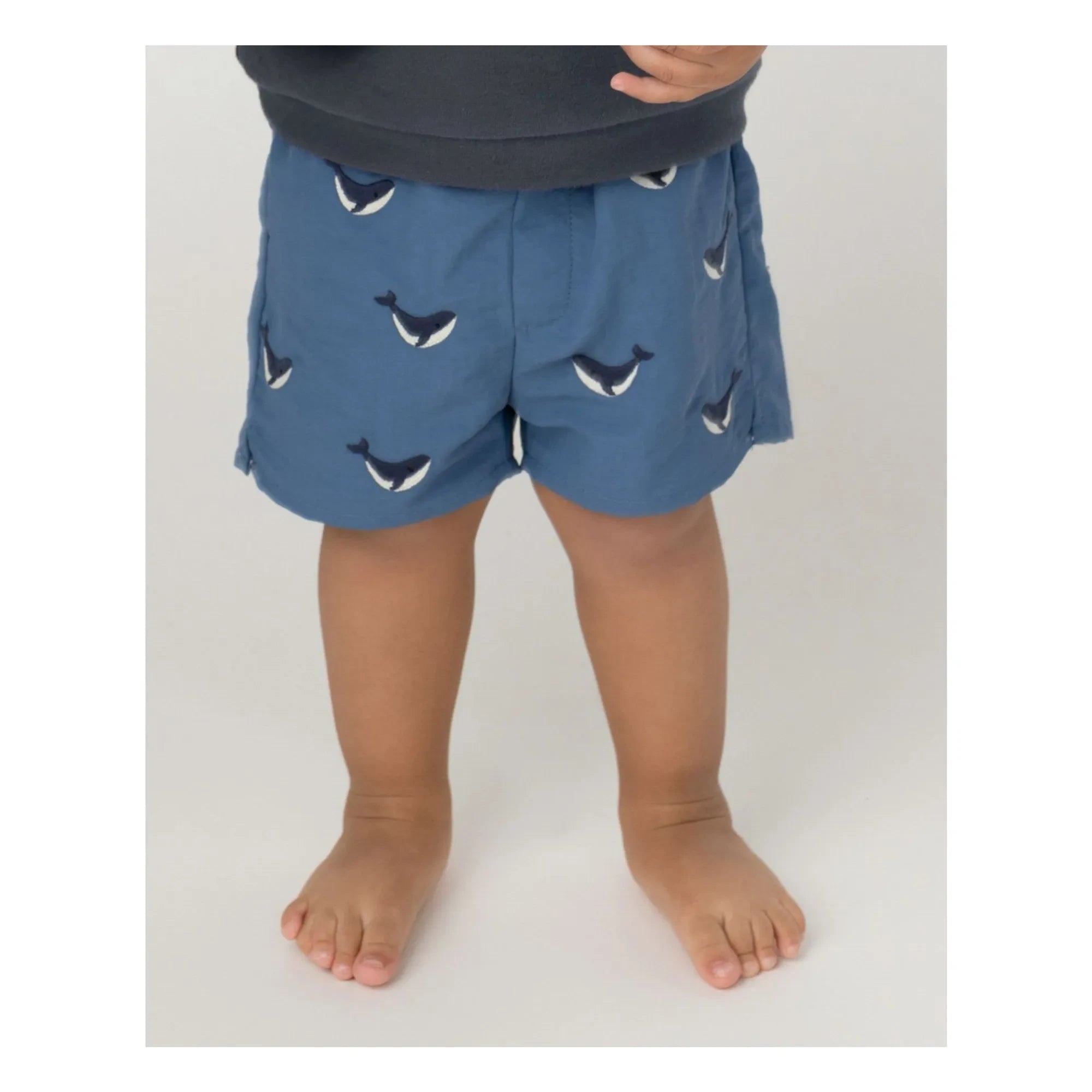 Donsje - Wangu Whale Shorts Fibras Recicladas | Azul