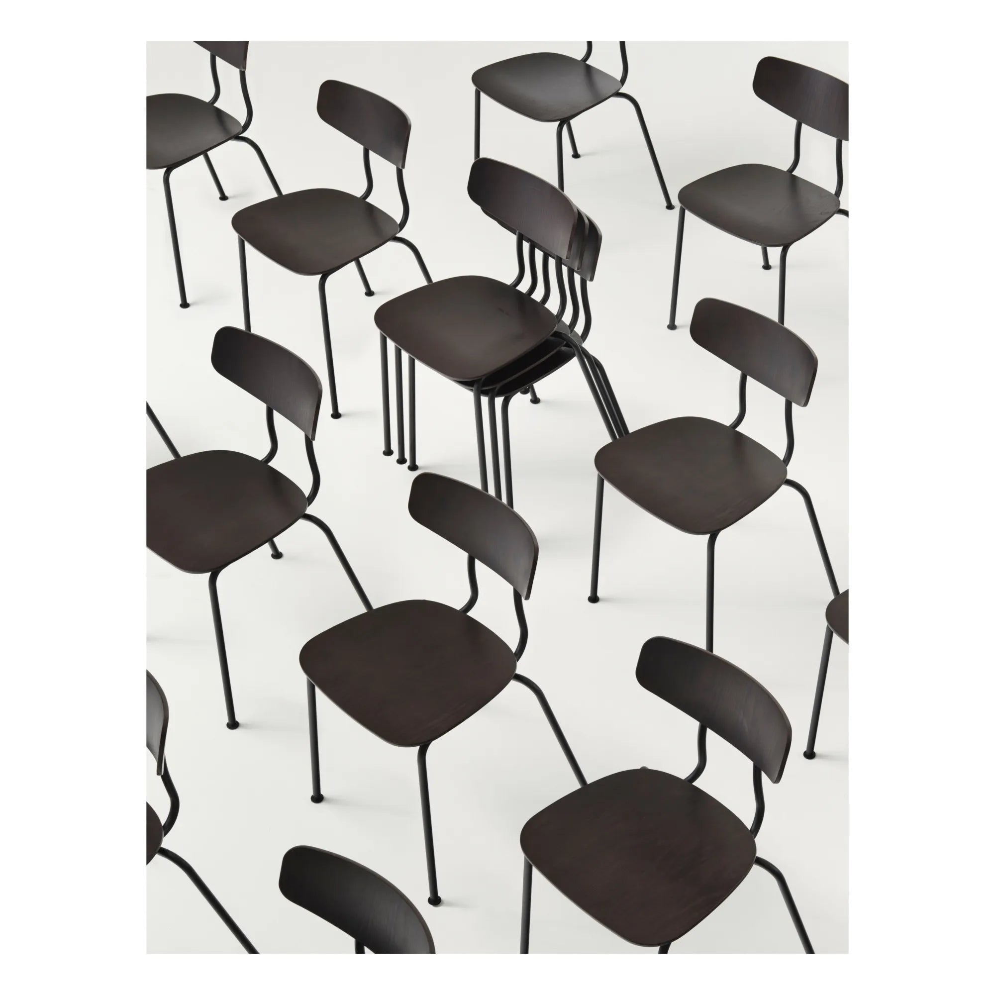 Vitra - Silla Moca - Base cromada - Jasper Morrison | Roble oscuro