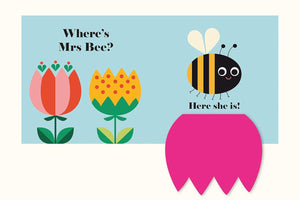 Nosy Crow - ¿Dónde está la Mariquita? Libro en inglés