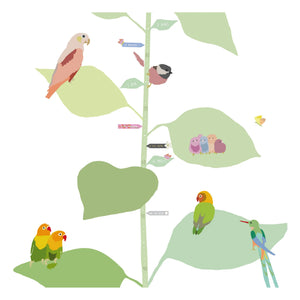 MIMI'lou - With The Birds Tabla de crecimiento - FR