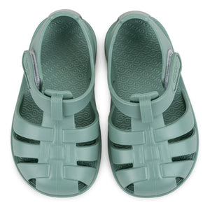 Igor - Zapatillas de Agua Nemo | Salvia