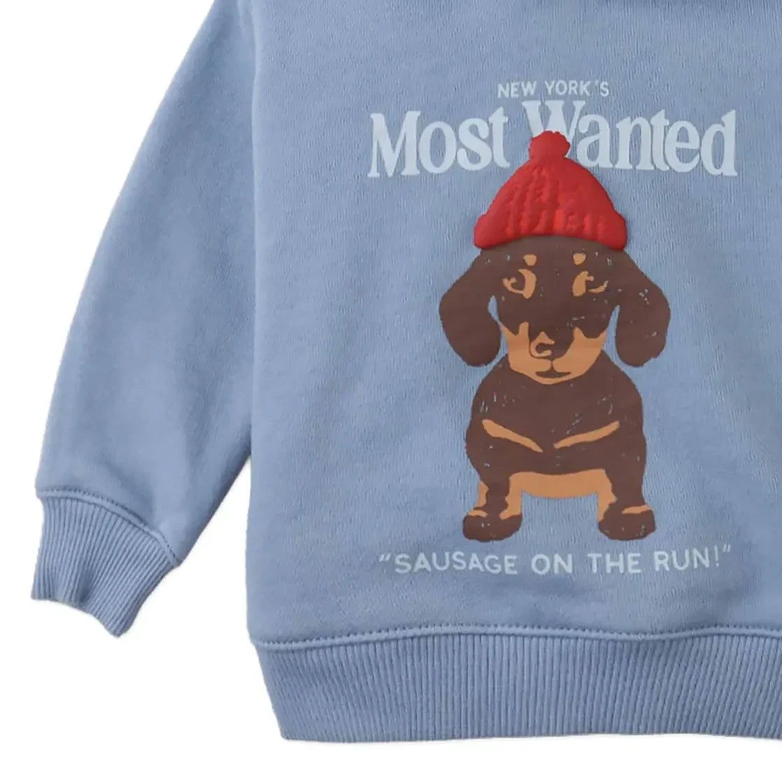 Gingersnaps - Danté Kapüşonlu Sweatshirt | Mavi