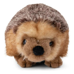 Bon Ton Toys - WWF - Peluche erizo | Marrón