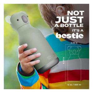Asobu - Botella de agua de acero inoxidable Koala | Gris