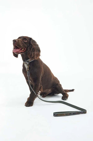 Collar Barbour para Perro