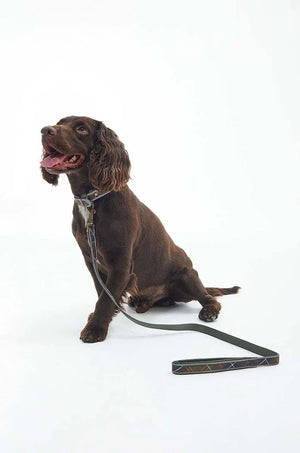 Collar Barbour para Perro