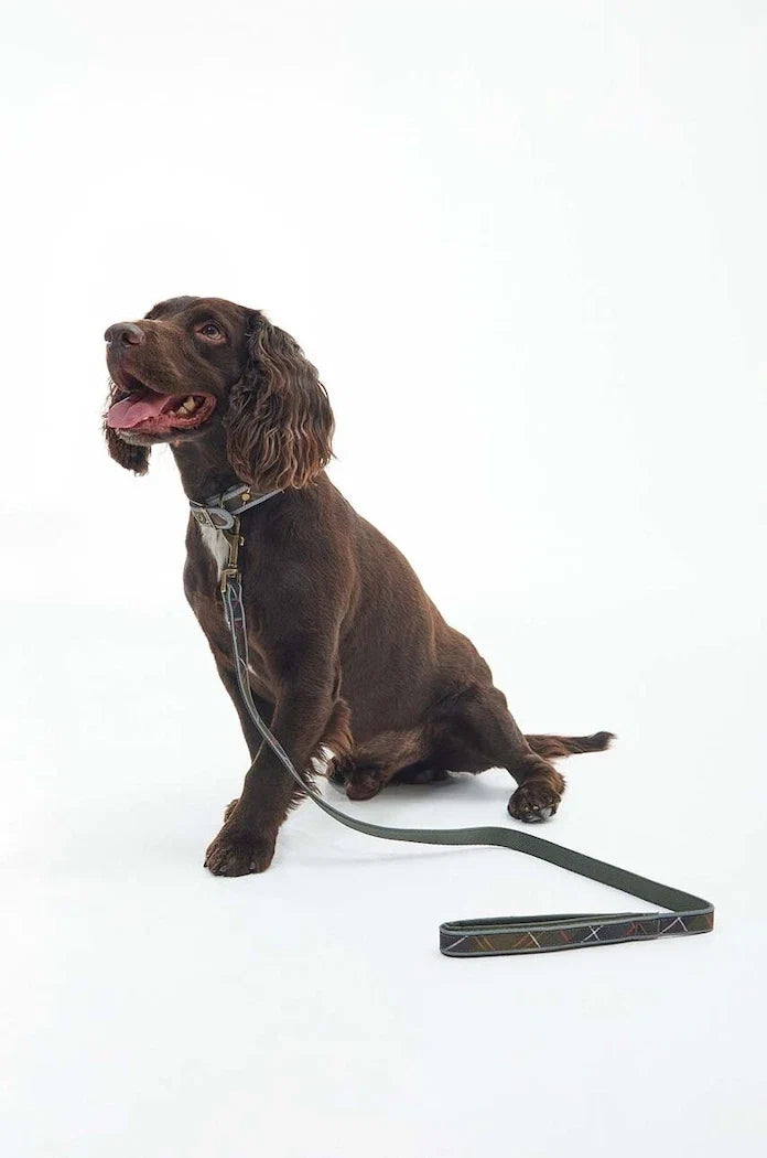 Collar Barbour para Perro