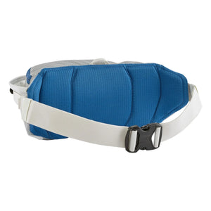Patagonia - Riñonera Black Hole 5L Banana Bag | Gris claro