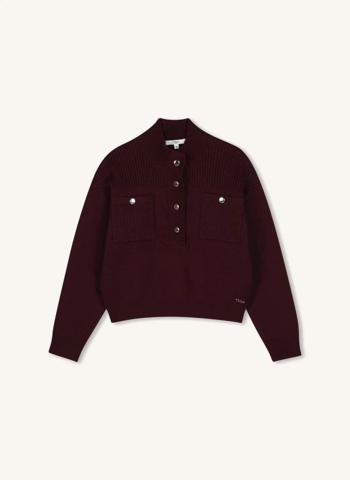 Chloé - Jersey de cuello alto en algodón orgánico | Morado