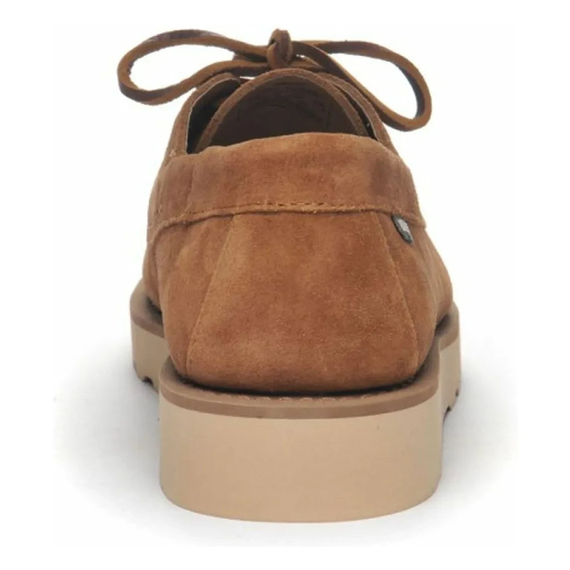 Sebago - Mocasín de ante Askookfield Oled | Mocha
