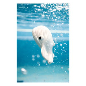 Oli & Carol - Juguete de baño Walter la ballena