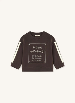Fliink - Sudadera de Algodón Orgánico Alvin Otoño | Marrón