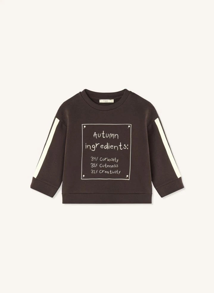 Fliink - Sudadera de Algodón Orgánico Alvin Otoño | Marrón