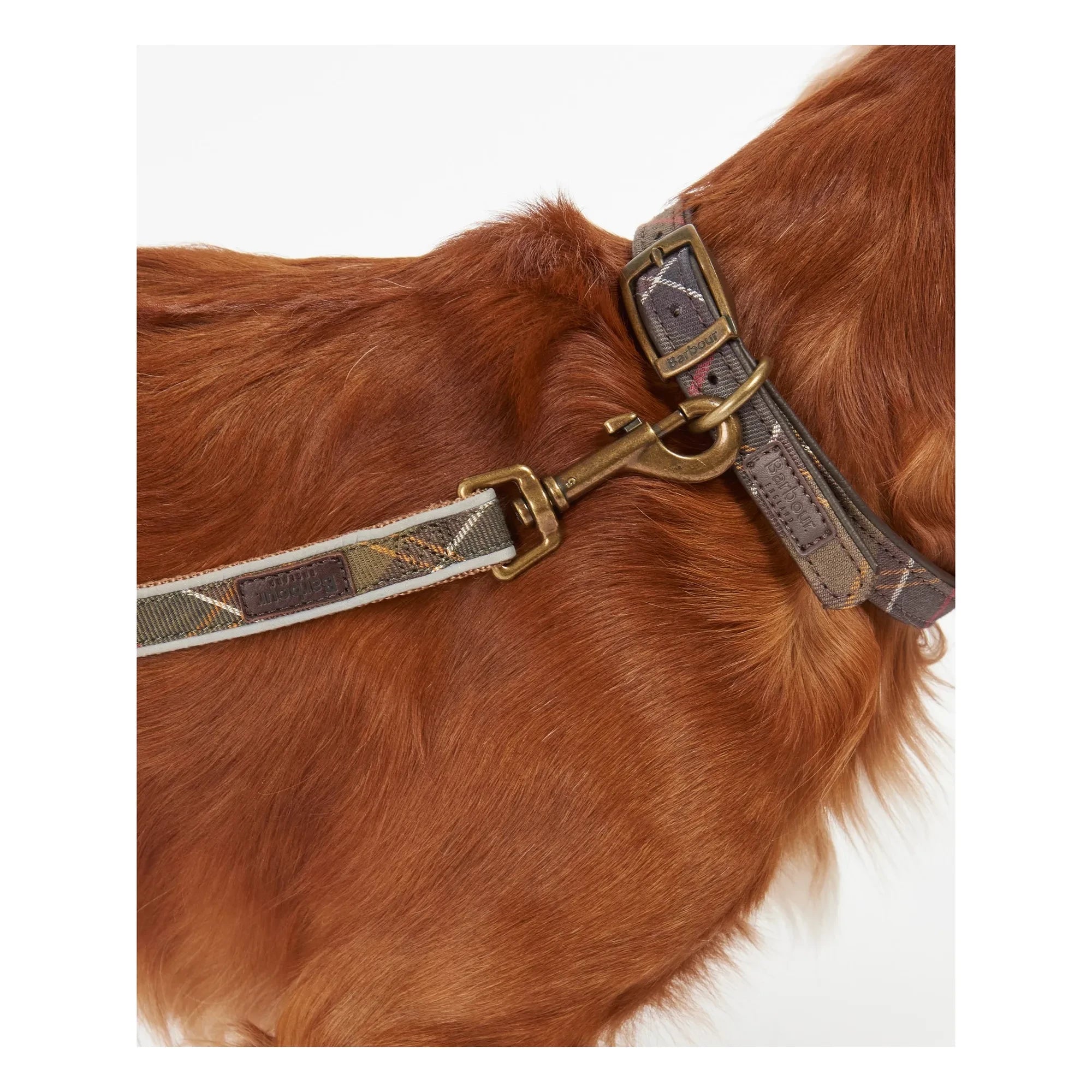 Barbour - Collar para perro reflectante de tartán | Marrón topo