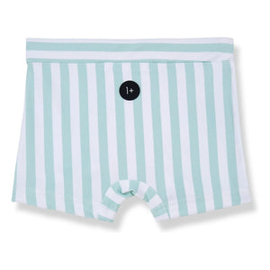 1+ en la familia - Morell Bañador Short Rayas | Verde almendra