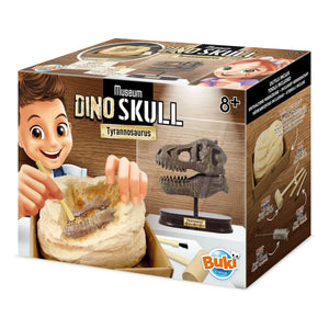 Buki - Kit de arqueología - Cráneo de dinosaurio de museo