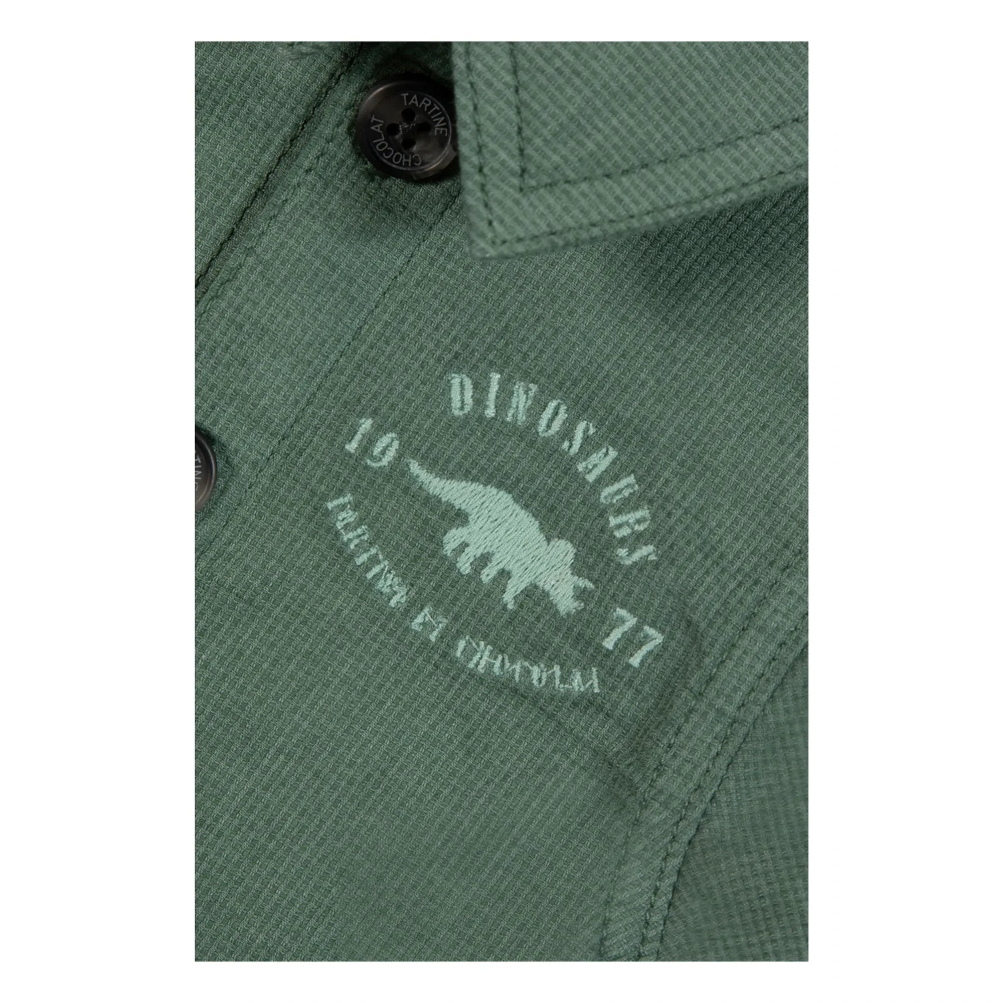 Tartine et Chocolat - Chaqueta Dinozor | Caqui