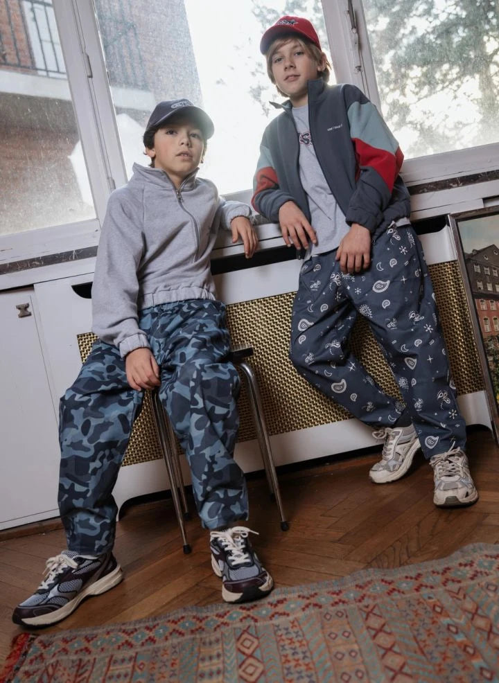 Cos I Said So - Pantalón paisley | Gris