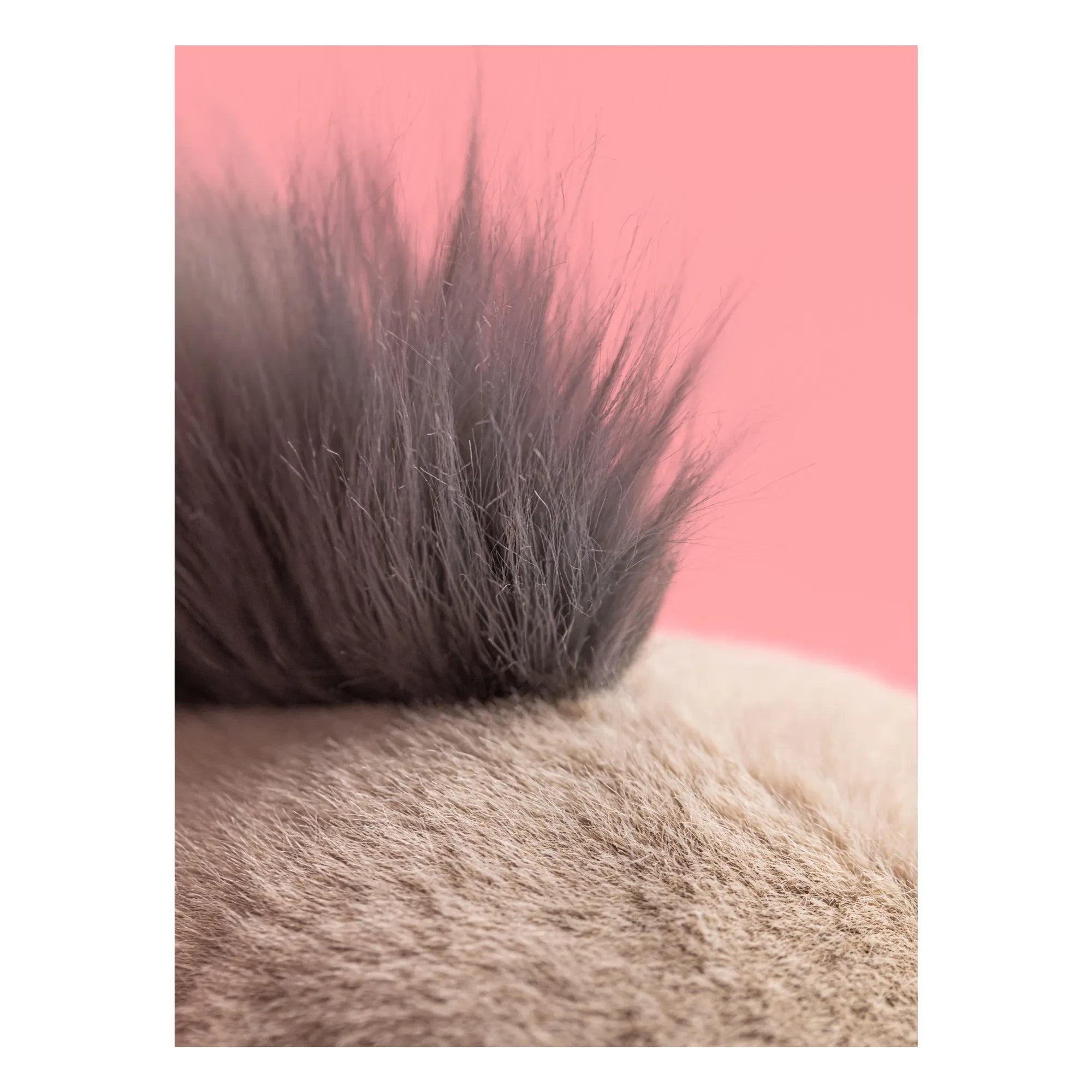 Jellycat - Roarwell mors peluş